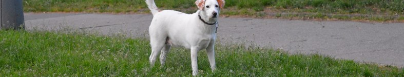 Banner profilu