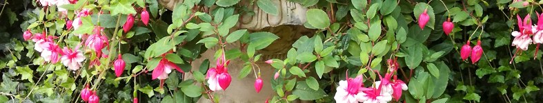 Banner profilu