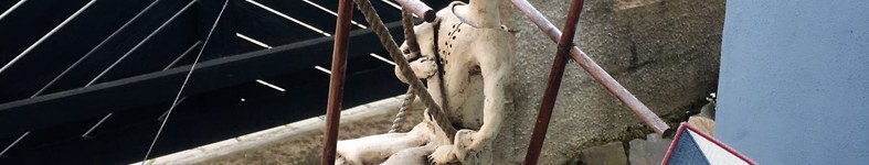 Banner profilu