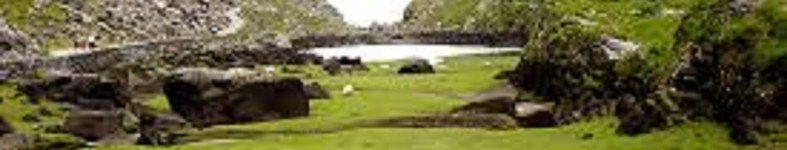 Banner profilu
