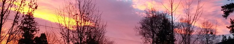 Banner profilu
