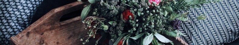 Banner profilu