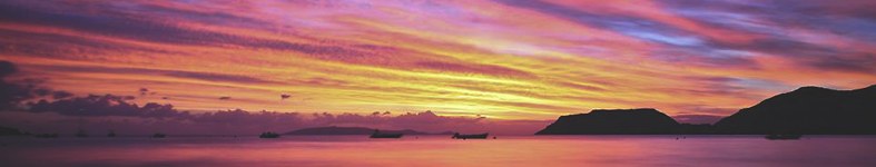 Banner profilu