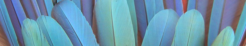 Banner profilu