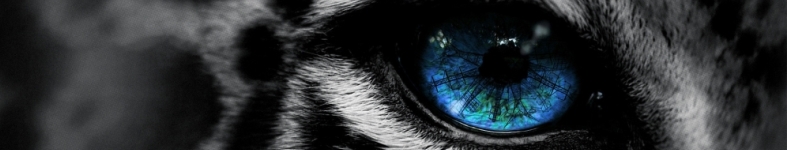 Banner profilu