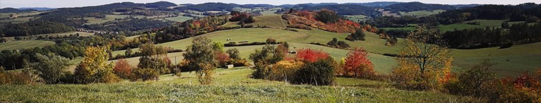Banner profilu