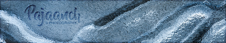 Banner profilu