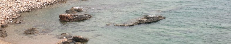 Banner profilu