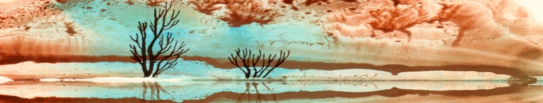 Banner profilu