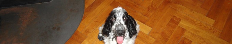 Banner profilu