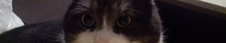 Banner profilu