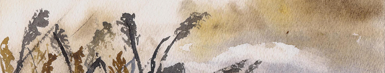 Banner profilu