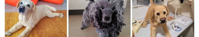 Banner profilu