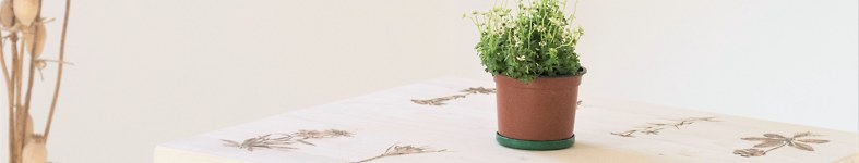 Banner profilu