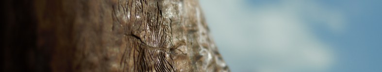 Banner profilu