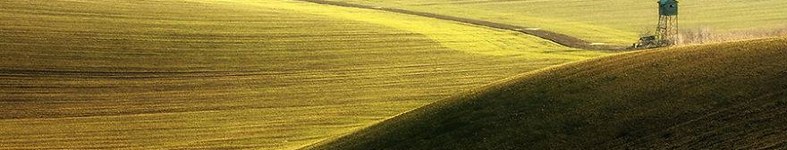 Banner profilu