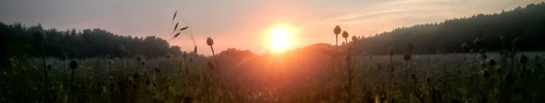 Banner profilu