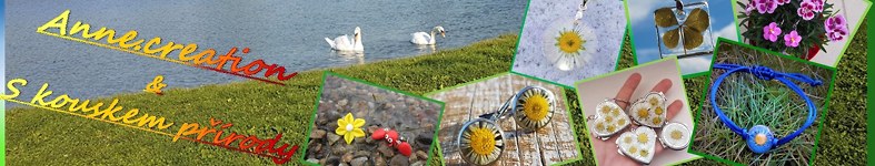 Banner profilu