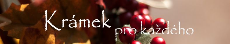 Banner profilu