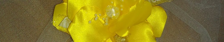 Banner profilu