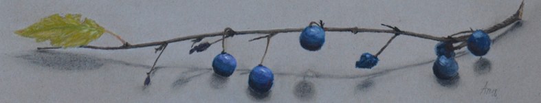 Banner profilu