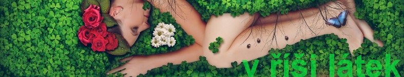 Banner profilu