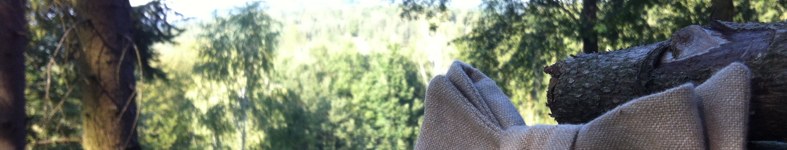 Banner profilu