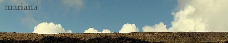 Banner profilu