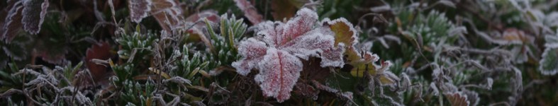 Banner profilu