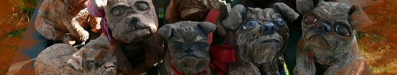 Banner profilu