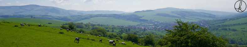 Banner profilu