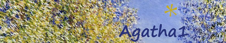Banner profilu