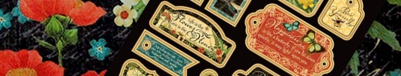 Banner profilu