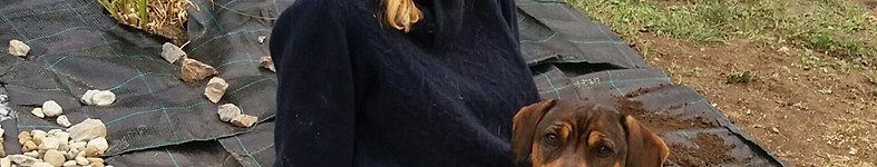 Banner profilu