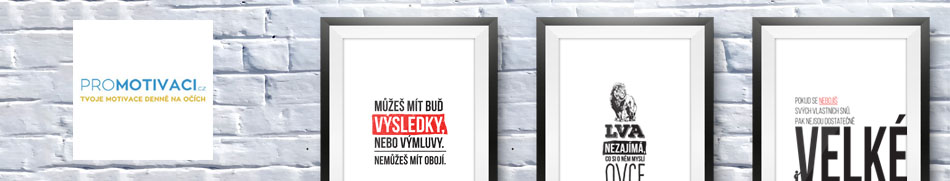 Banner profilu