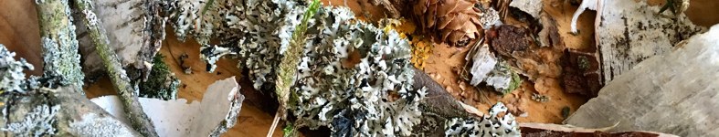 Banner profilu