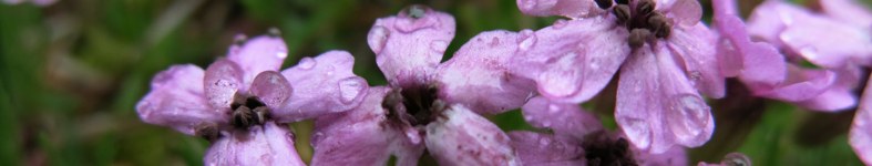 Banner profilu