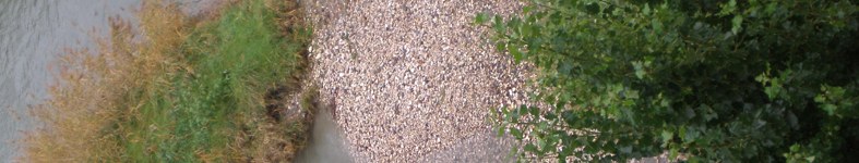 Banner profilu