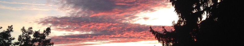Banner profilu