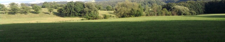 Banner profilu