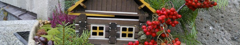 Banner profilu