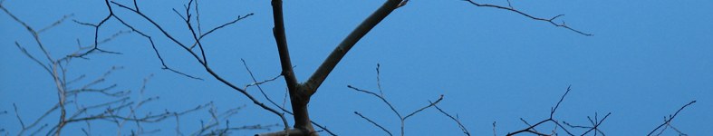 Banner profilu