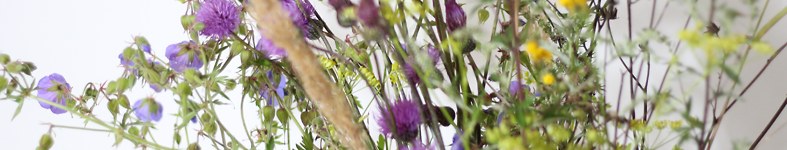 Banner profilu
