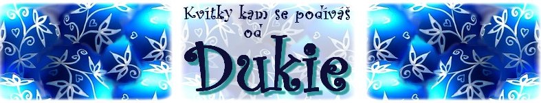 Banner profilu