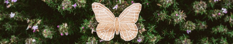 Banner profilu