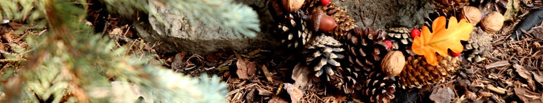 Banner profilu