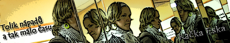 Banner profilu
