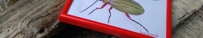 Banner profilu