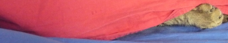 Banner profilu