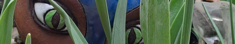 Banner profilu